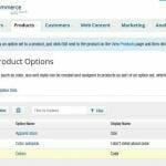 Add Product Options